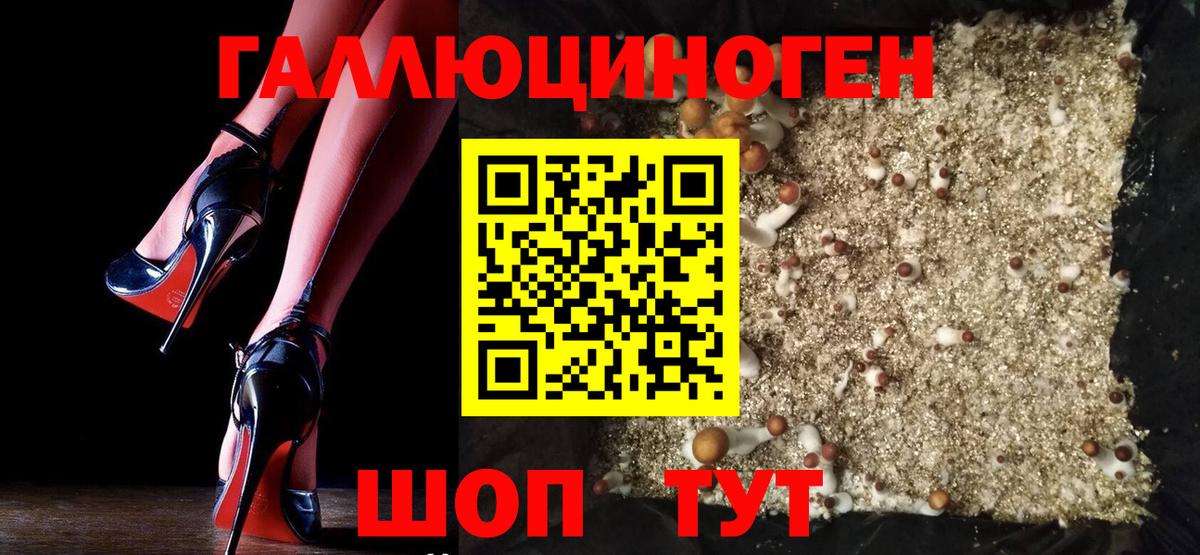 Гуково  Псилоцибиновые грибы прущие грибы  Псилоцибиновые грибы Psilocybine cubensis  купить наркоту  Вход с VPN 