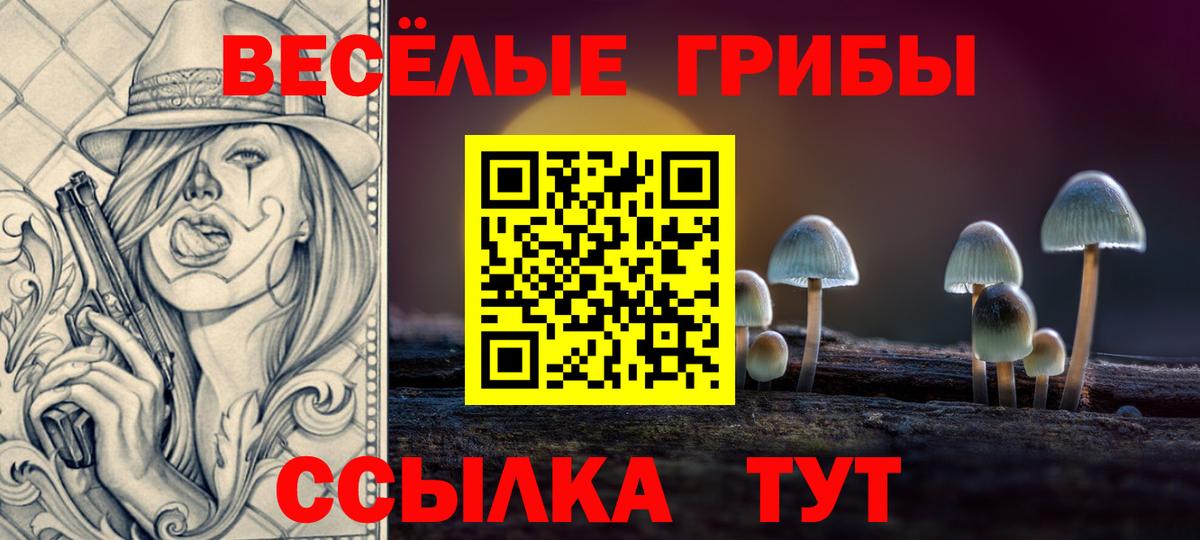 Галлюциногенные грибы Psilocybe Гуково